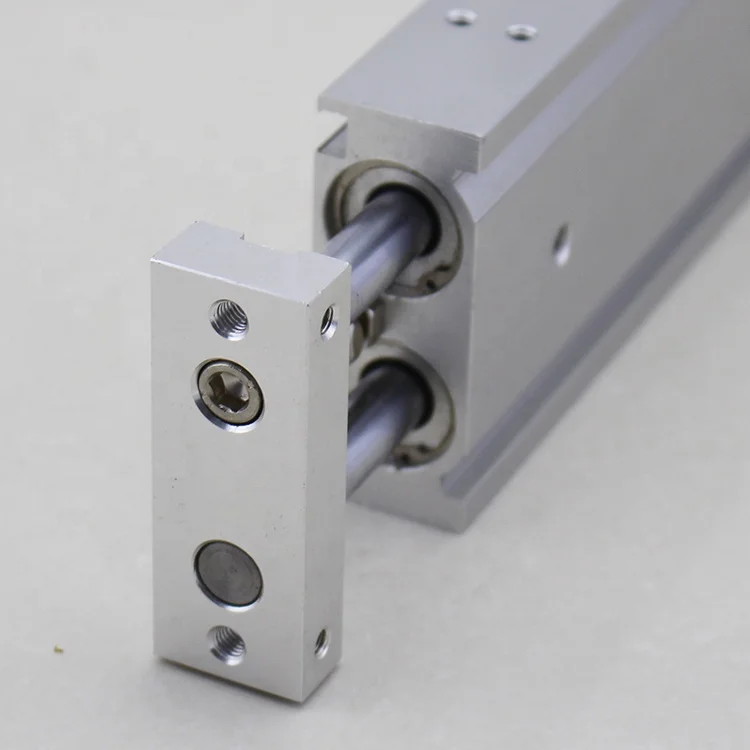 
CXSW Series Double Shaft Dual Rod Air Cylinder Double Acting Double Piston Rods With Magnet Type Pneumatic Cylinder 
