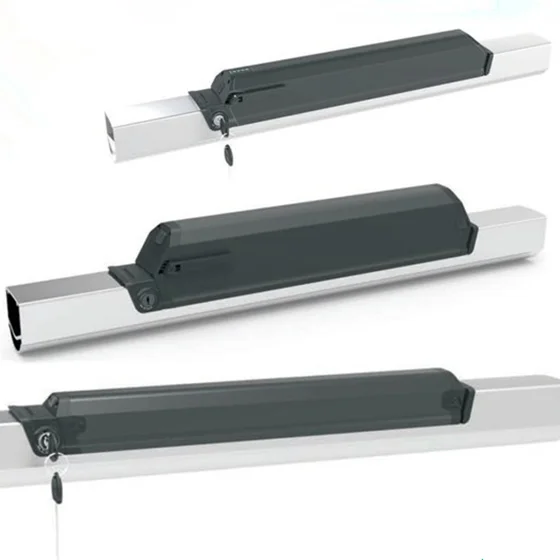 Reention Dorado Electric Bike Battery Lithium ion Battery Pack  36V 48V 10.4ah 13ah 14ah 17.5ah 21ah