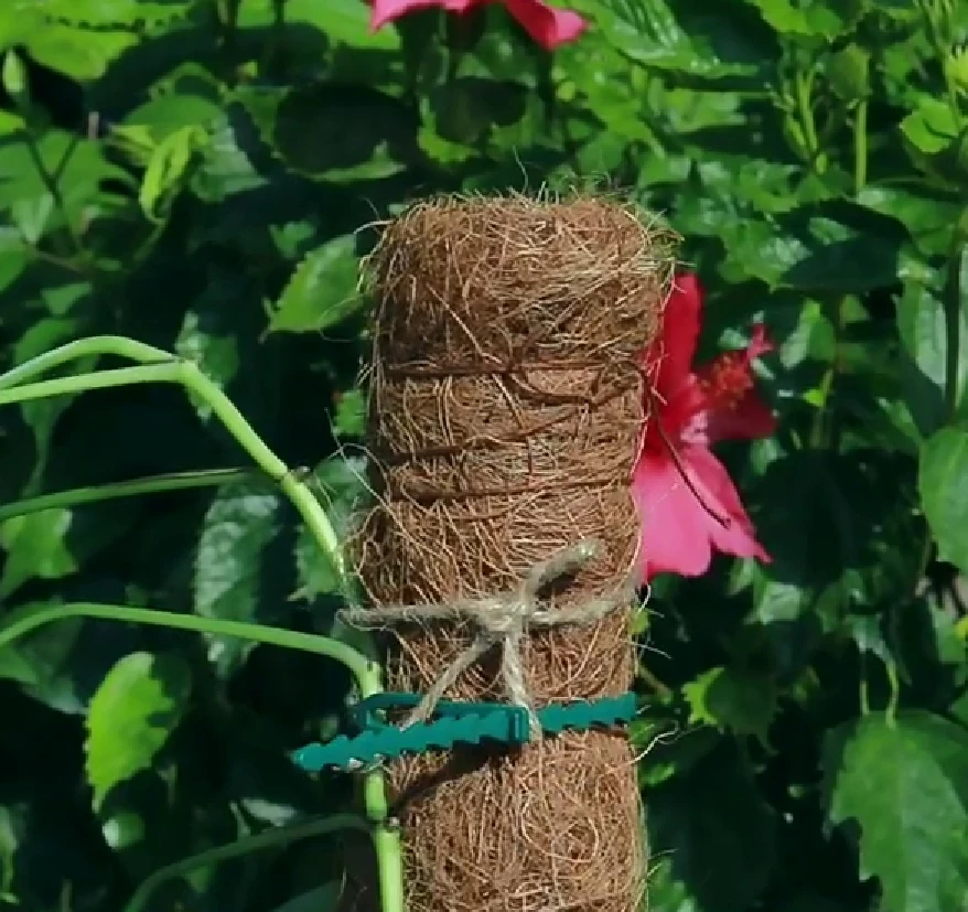 Extendable Plant Flower Stand Trade Assurance Moss Pole Coco poles