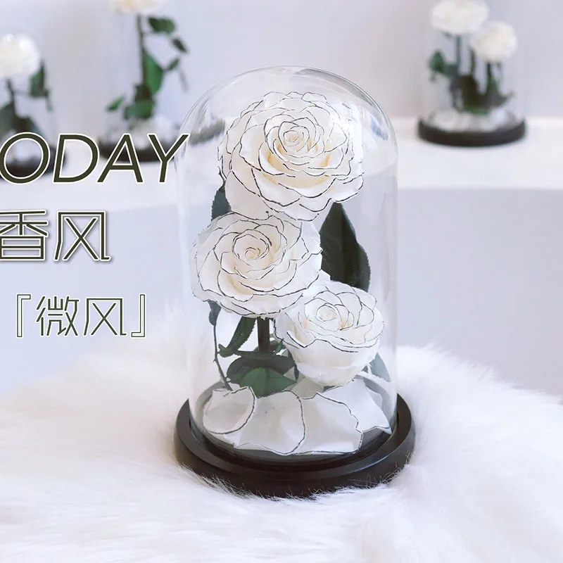 Wholesale Eternal 3 Beauty Rose Valentine Gifts Glass Dome Flower Preserved Rose in Glass Gift Box Valentine Custom Logo