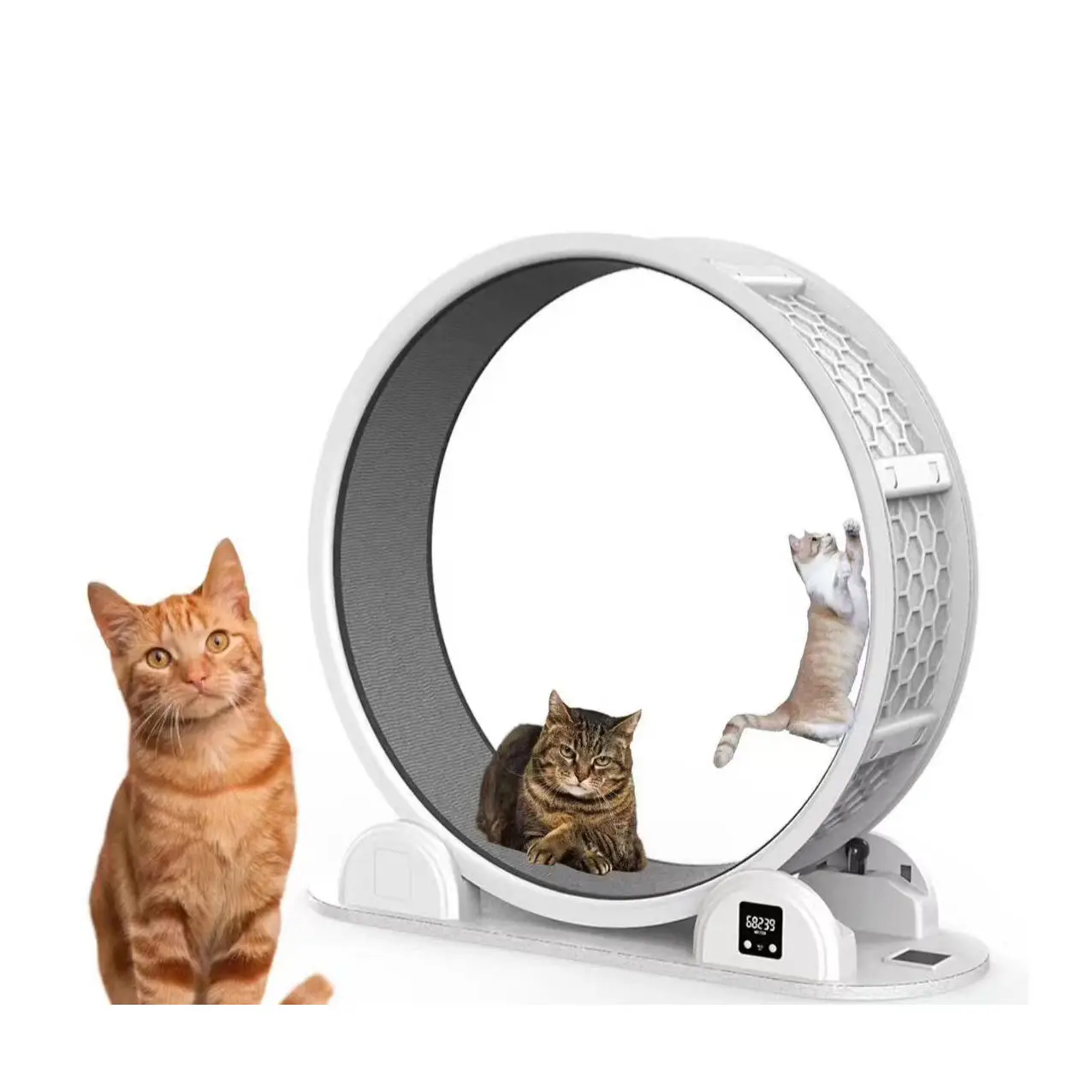 40.5' Indoor Cat Exercise Wheels Interactive & Movement Treadmill with Solar Charging Counter for Large Cats