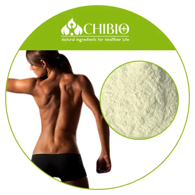 extract from pure health ingredients food grade Aspergillus Niger Chitosan Powder for reducing fat absorption