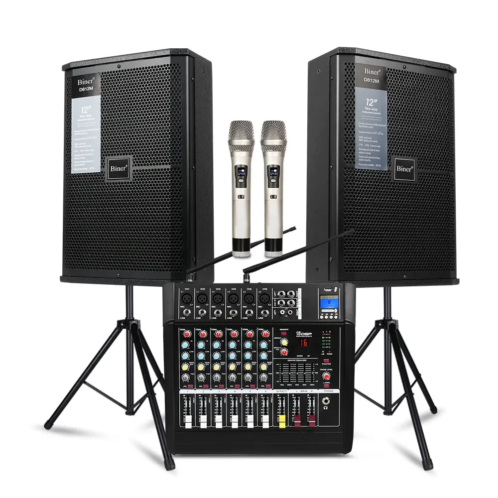 Biner D812 высококачественный 12-дюймовый динамик звуковой системы с профессиональным аудио для сценической производительности