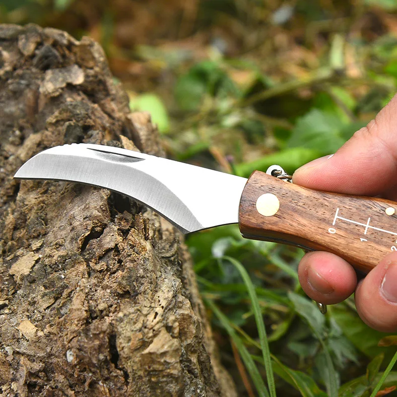 Hand Tools Straight Rosewood Blade Mini Portable Pick With Brush Grafting Gardening Knives Mushroom Knife