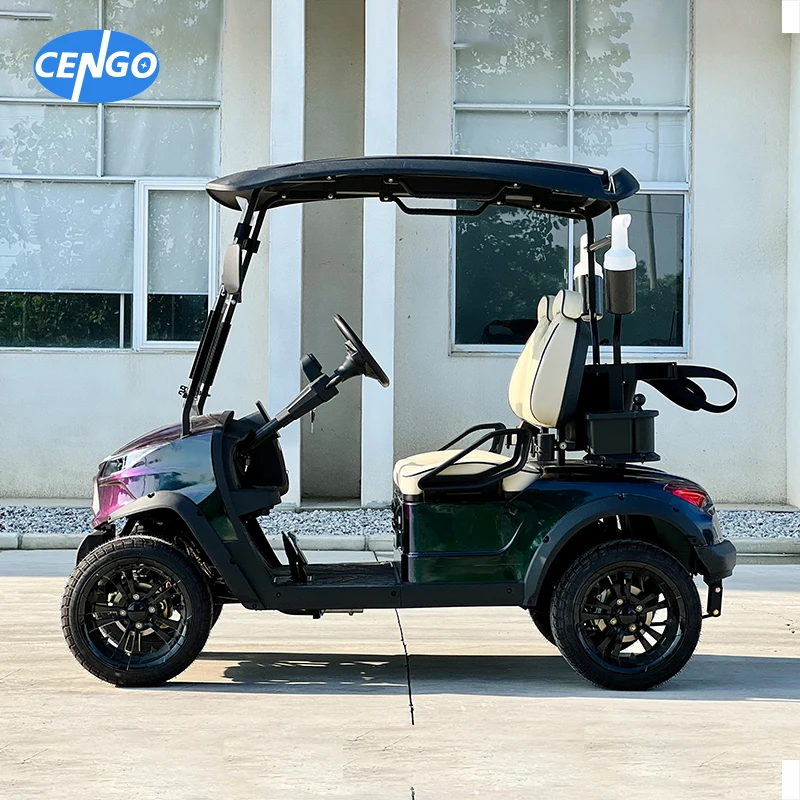 Luxury Off-road 2 passager Jeep electric golf kart with 48v 5kw lithium battery powered ambient light golf carts