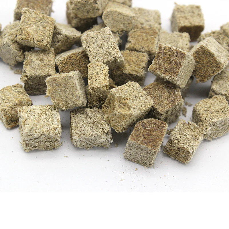 freeze dried tubifex worms for aquarium fish