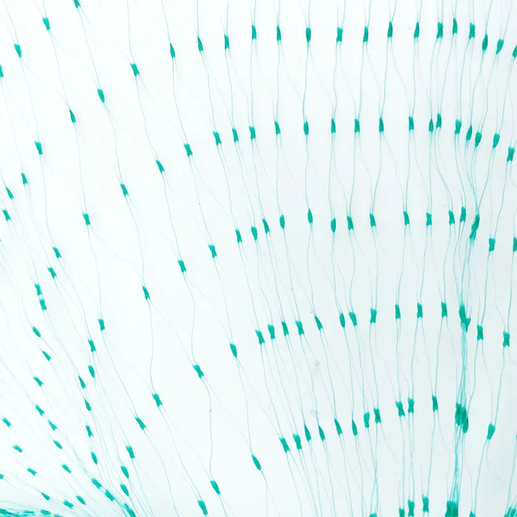 Anti-Bird  Plastic Trellis Net Garden Netting Plant Protecting Net for Protecting Vegetables Plants and Fruit Trees