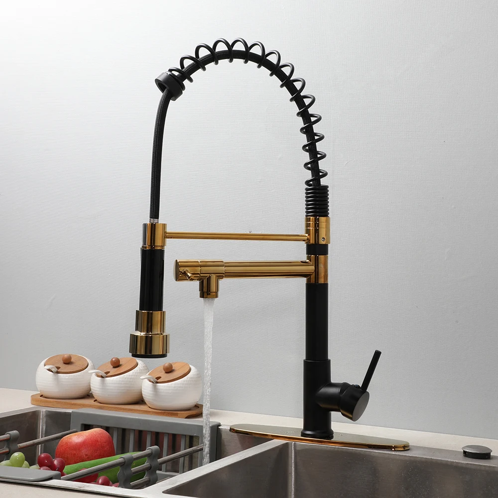 New Stainless Steel Spring Faucets Mixers & Taps Faucet Kitchen Faucet kitchen With Cover/Plate