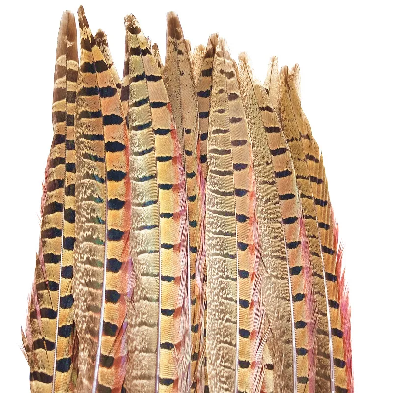 Natural 10-70CM Ringneck Pheasant Tail Feather for Craft headdress needlework table Plumes
