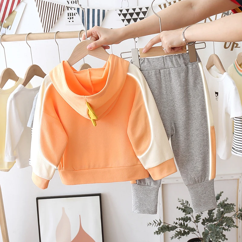 Kids Autumn Collection Baby Boy Clothing Sets Boys Hoodie Set Children Wear Manufacturing Dinosaurs pattern cloth boy