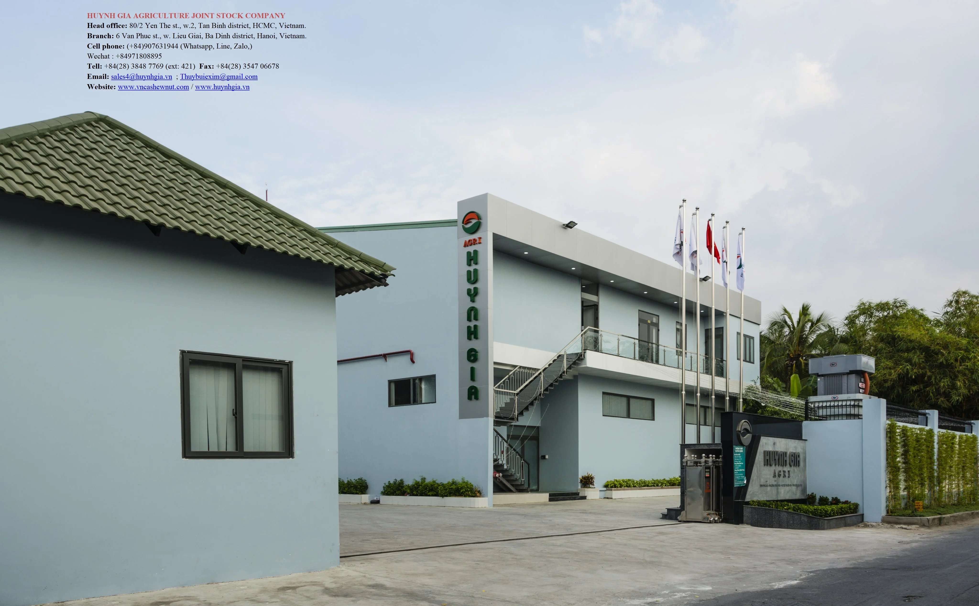 В соответствии со Стандартом AFI, белое целое ГМО, потребление человеком, класс A, максимальный уровень влажности 5%, орехи кешью из Вьетнама