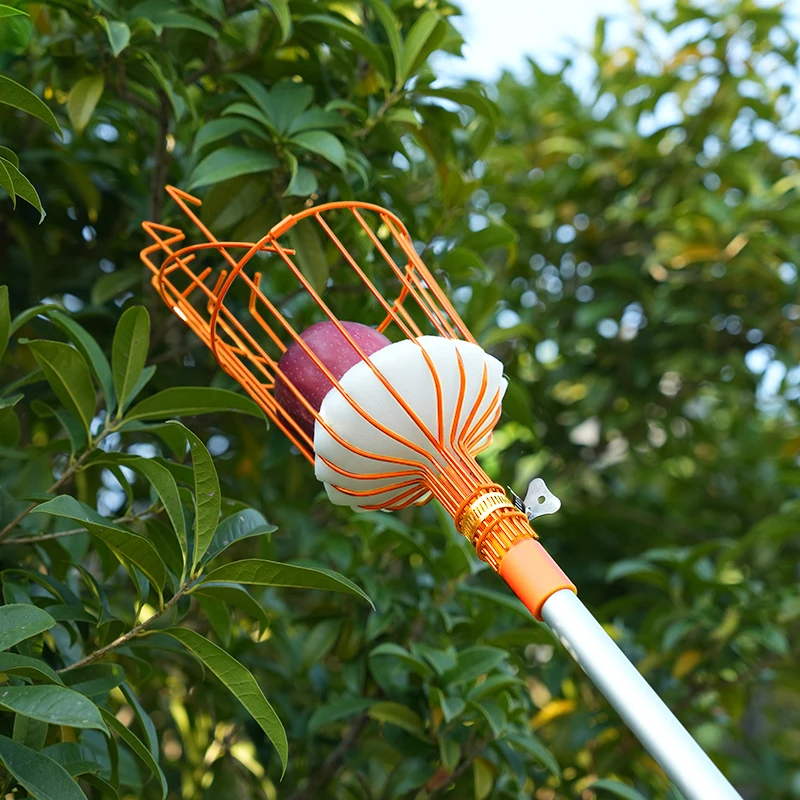 Stainless Steel Apples Mango Pear Orange Avocados Picking cherry metal telescopes fruit picker tool