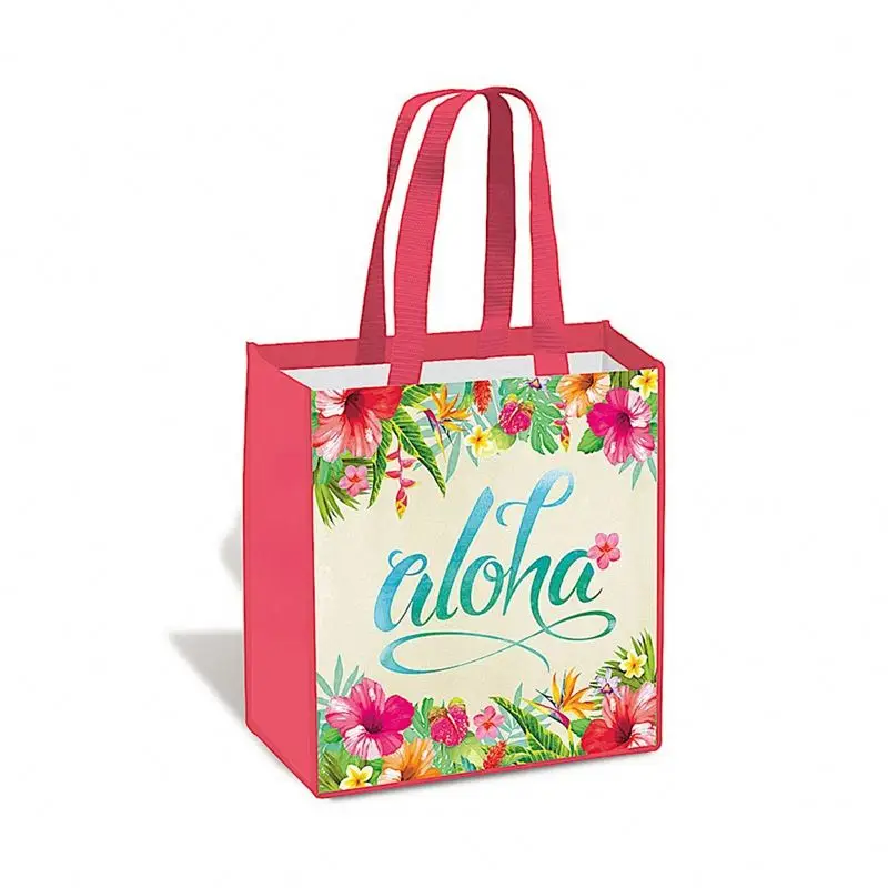 Guangzhou Factory High Quality Wholesale China Factory Price Shopping Bag Spunbond