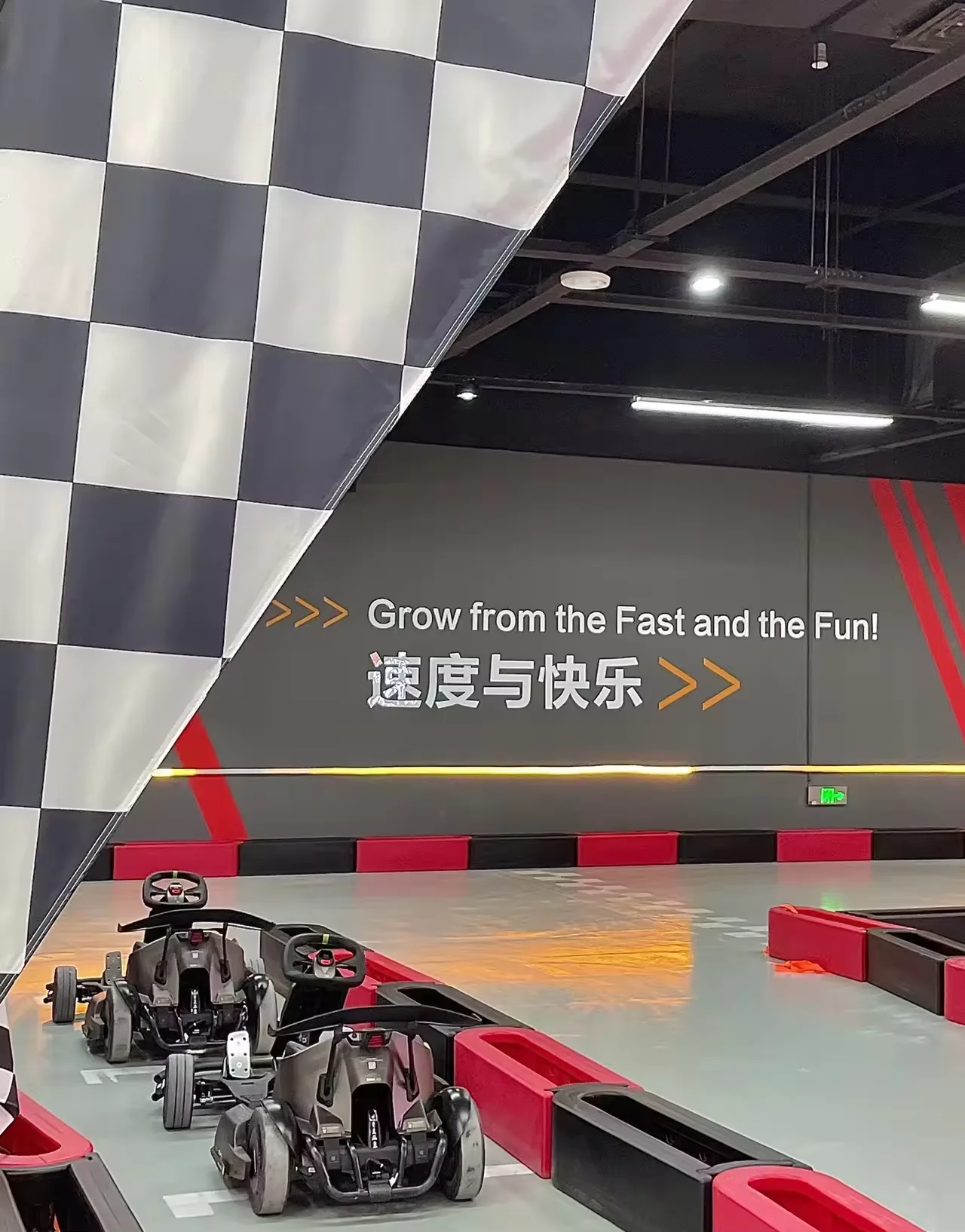 V Лидер продаж 48 В/1000 Вт Электрический Go Kart внедорожный багги Профессиональный гоночный De Pedales для детей и взрослых