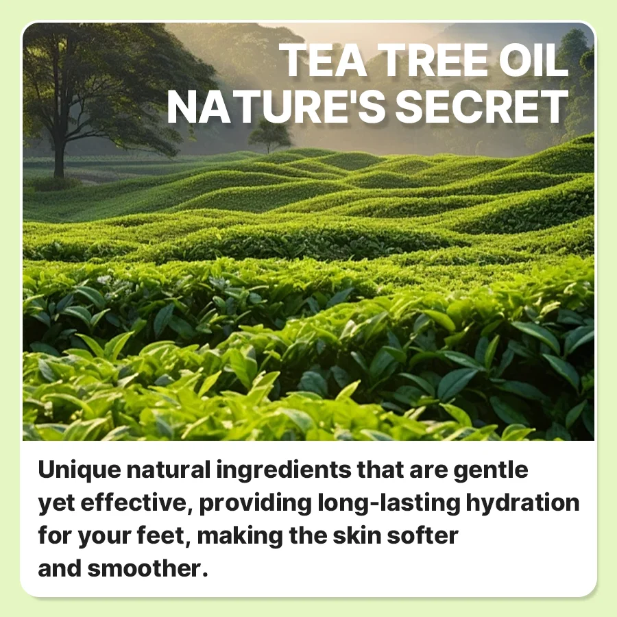 Wholesale foot cream urea Private Label organic Hydrating Urea Cream Thick Cracked Rough TEA TREE OIL FOOT CREAM