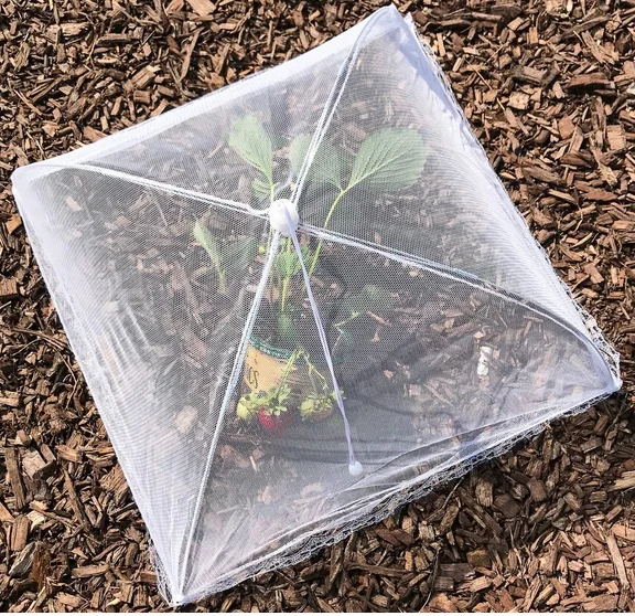 Reusable and Collapsible Food Cover Tent Mesh Cover for Food for Parties Picnics BBQ