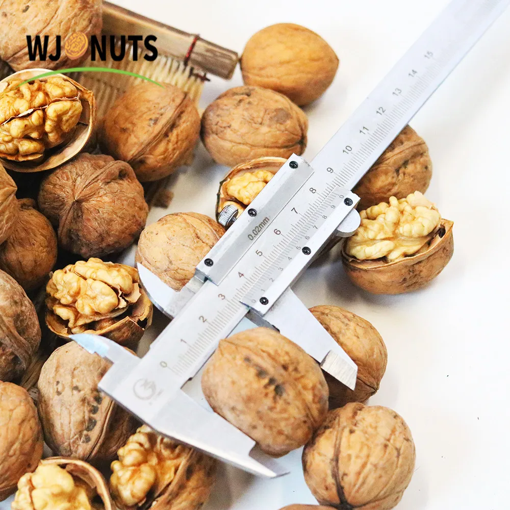 Wangjiang Walnuts-in-shell-price 185 Walnuts Prices usa