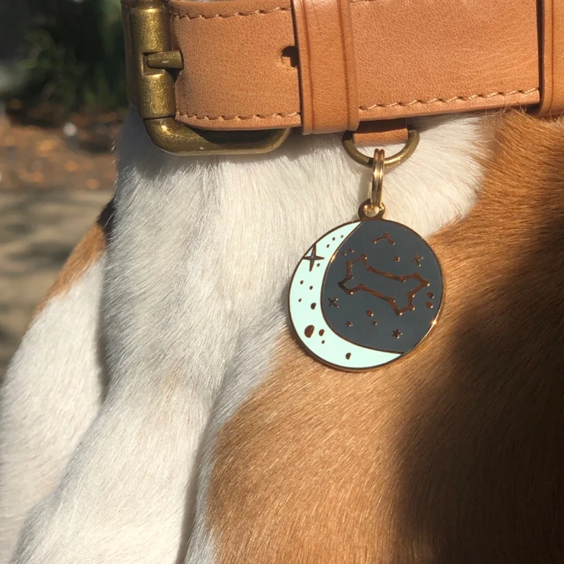 Wholesale New Design Custom Blank Back Zodiac Pet ID Tag Metal Dog Tag