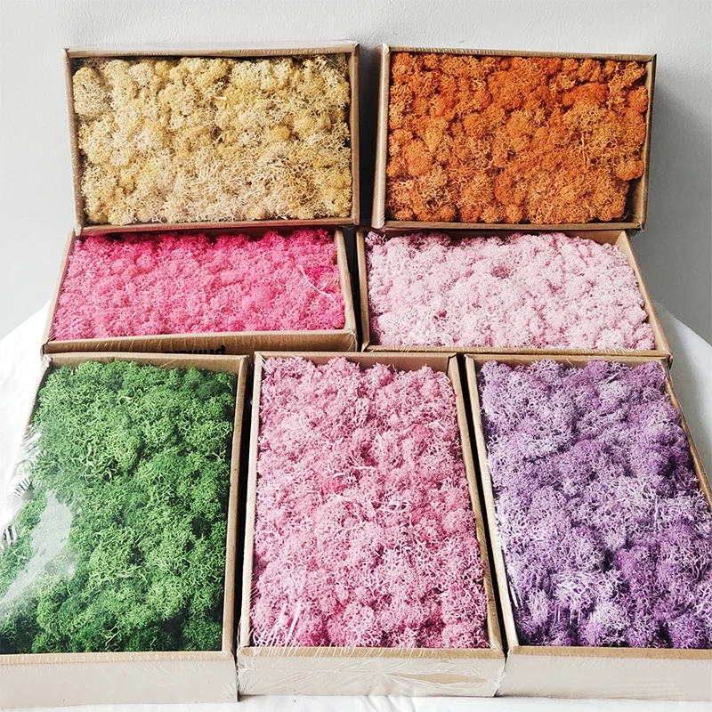 Amazon Hot selling wall home wedding decor Natural moss Preserved Reindeer Moss