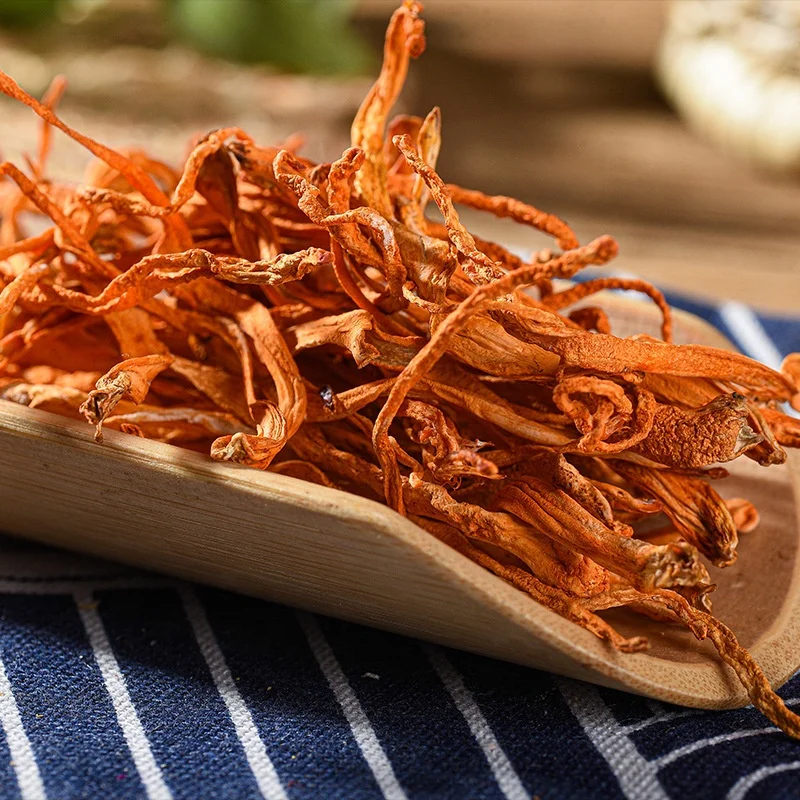 High Protein Naturally Dried Fungus Cordyceps Sinensis Flower