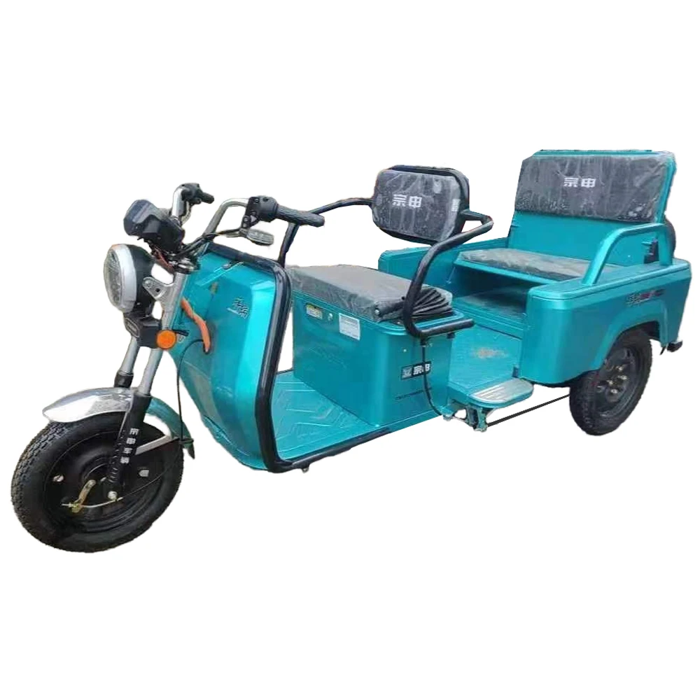 Double Duty for Passenger and Cargo 3 Wheel Golf Citycoco Bag Adult Electric Tricycle Tricycles 1500W Cargo Mobility Scooter