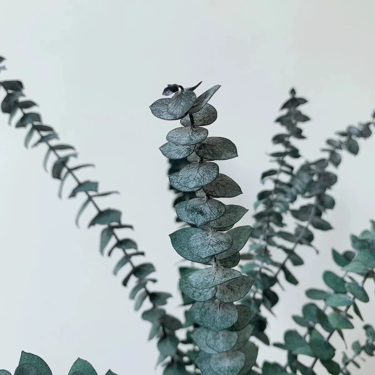 UO Amazon Top Seller Decoration Dried Flowers Bouquet Eucalyptus leaves Arrangement For Home or Weddings Decoration