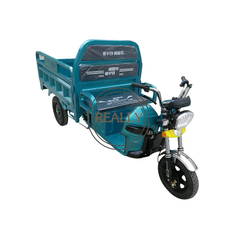 China 3 Wheels Electric Tricycles High Load Agricultural Van Cargo Bike Bajajs Motorcycle Vehicle for Delivery and Cargo