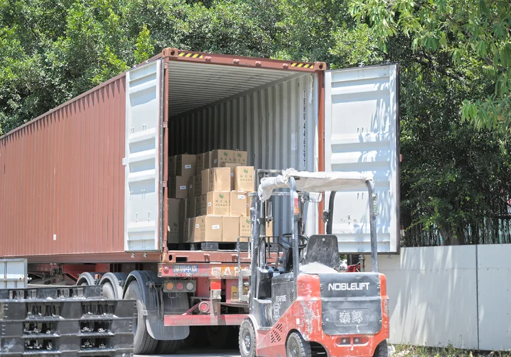 High Concentration and high quality RDP/VAE china manufacturer factory price