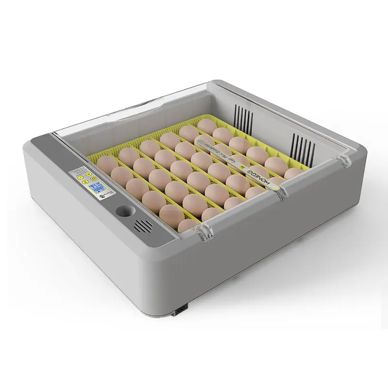 Hhd Kerosene Poussin Brooder Heatericks Infrared Gas Poultry Heater Chicks Made In China Electrical And For Chicks