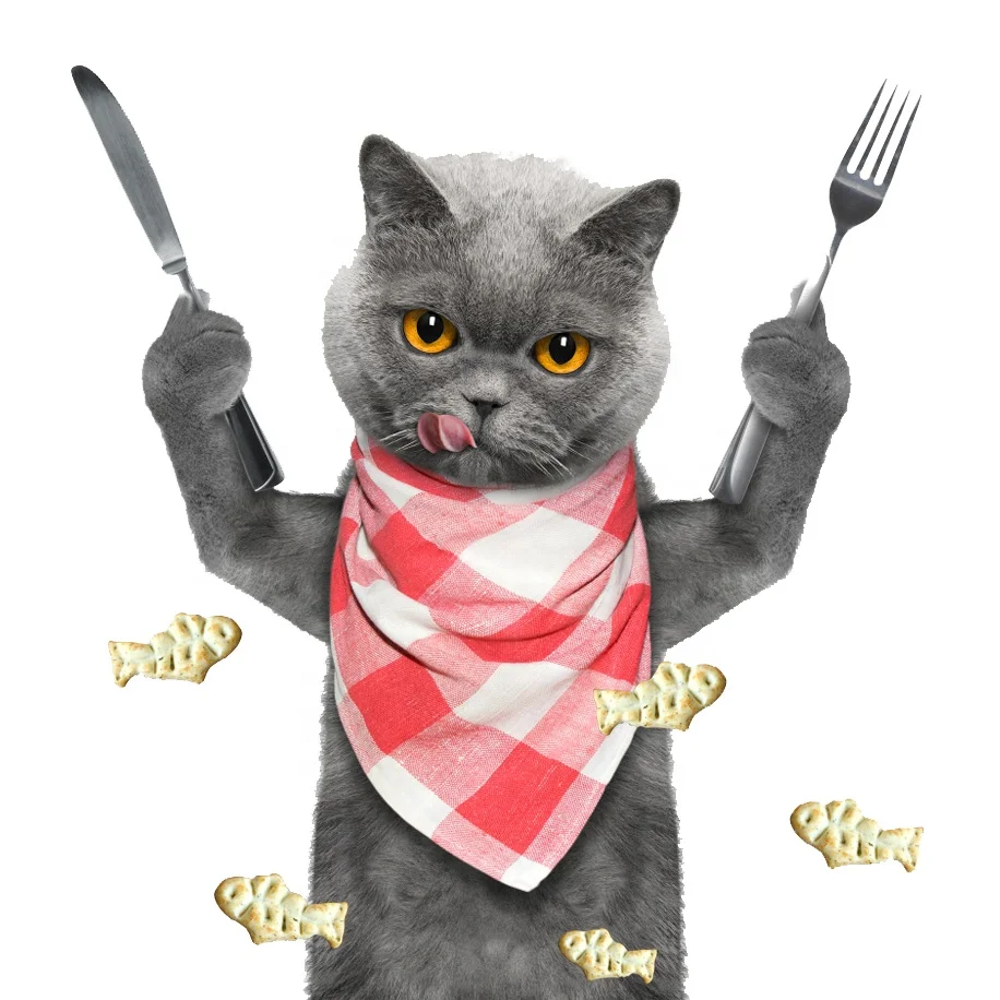 Высокое качество оптом дешевые рыбы форма печенье 80 г 100 г здоровая еда для домашних животных здоровая сухая еда для кошек 2021 лучшая диета для кошек