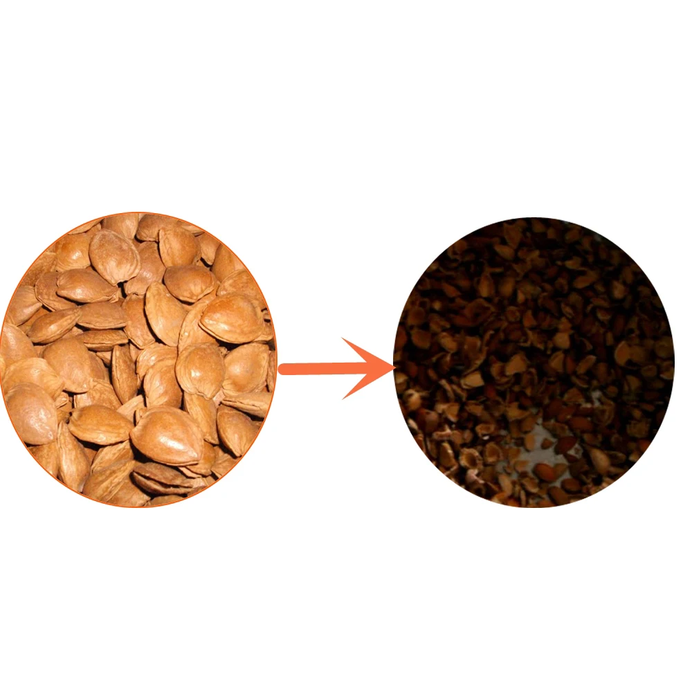 
Apricot Shelling Machine Almond Breaking Sheller Machine Nuts Sheller 