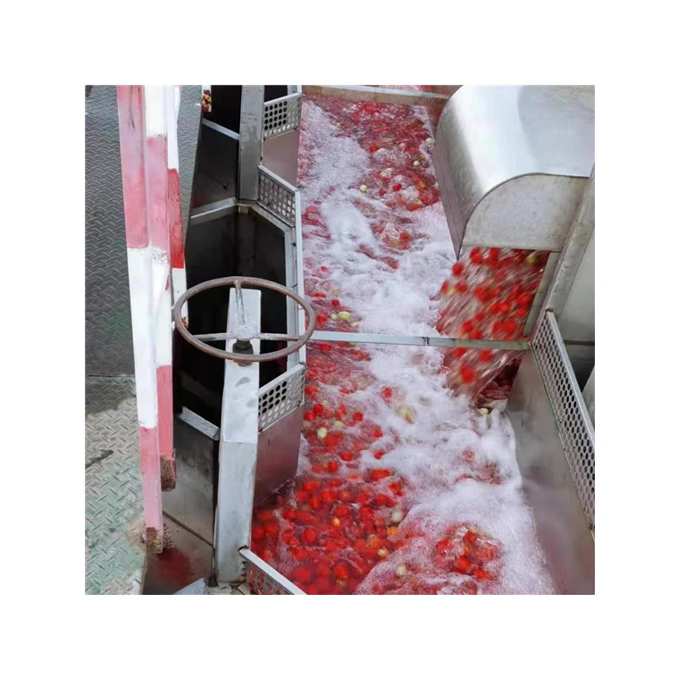 800g Best Brand Organic Canned Tomato Paste Manufacturer with Best Price