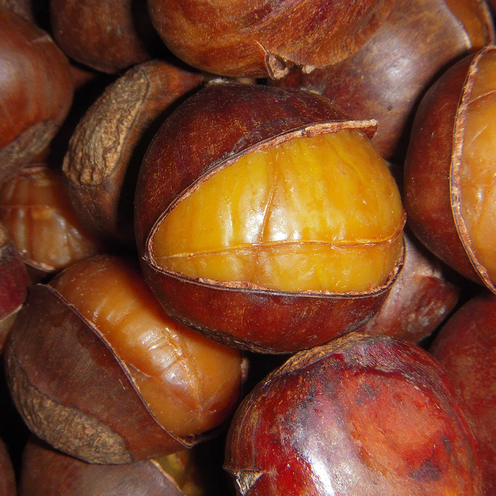 2022 Hot Sale Organic Frozen Chinese Roasted Ringent Chestnuts