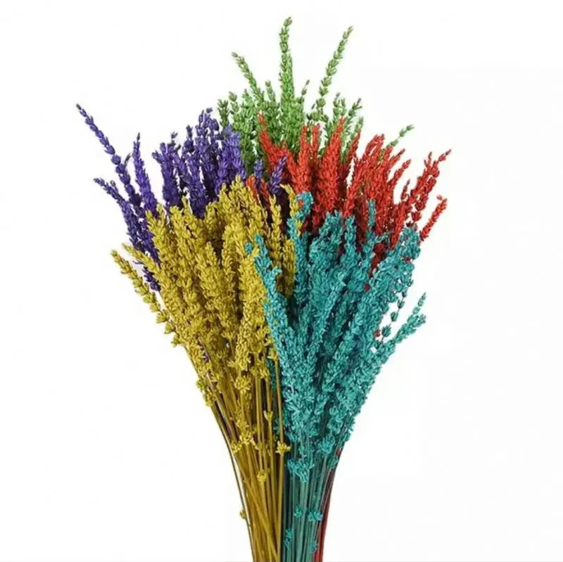
ins hot sale High Quality Lavender Flower Preserved Lavender for decoration material 