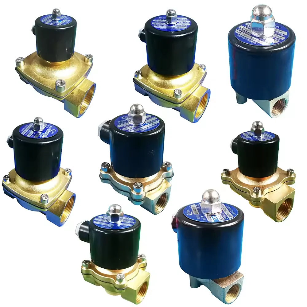 2W Normally Close Electric Brass 12V 24V 220V Solenoid Valve for Water Control Two Way Magnetic Water Solenoid Valve