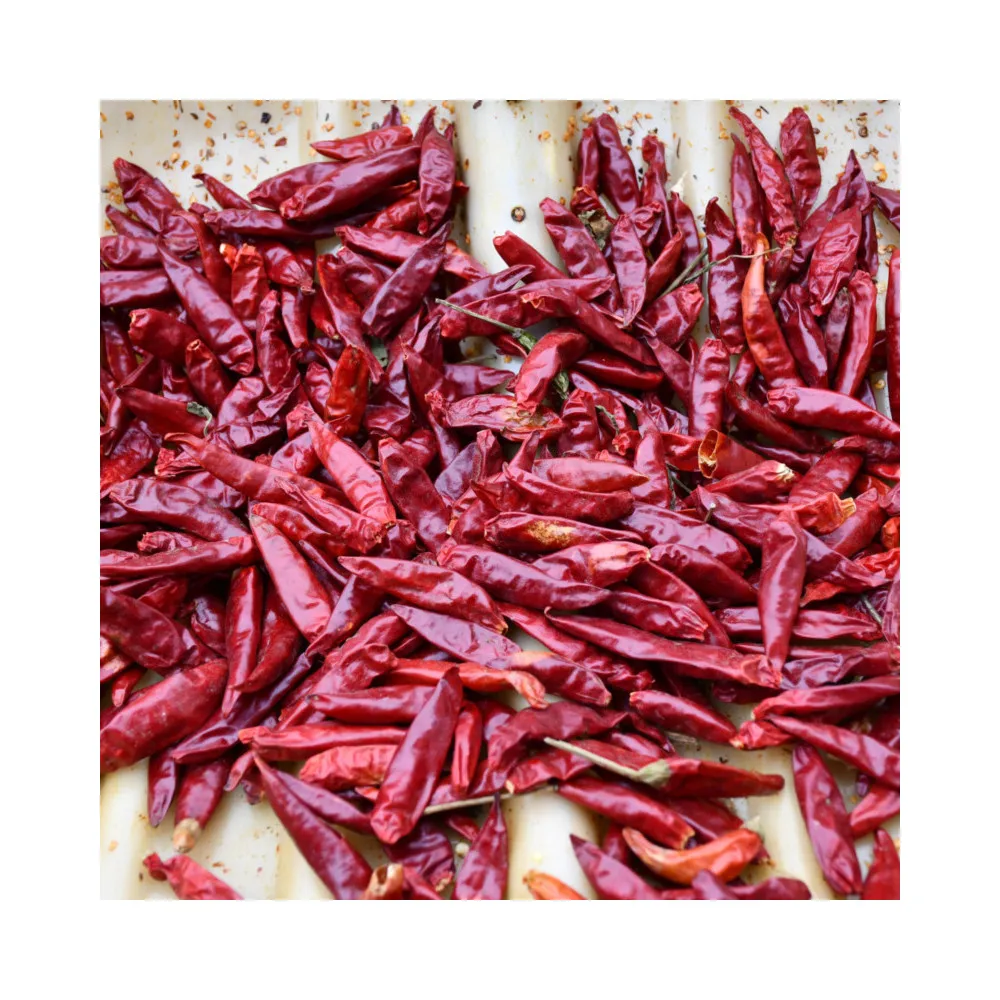 Лидер продаж, высокое качество, низкая цена, сухой красный Лидер продаж, Чили Yidu, птичий глаз