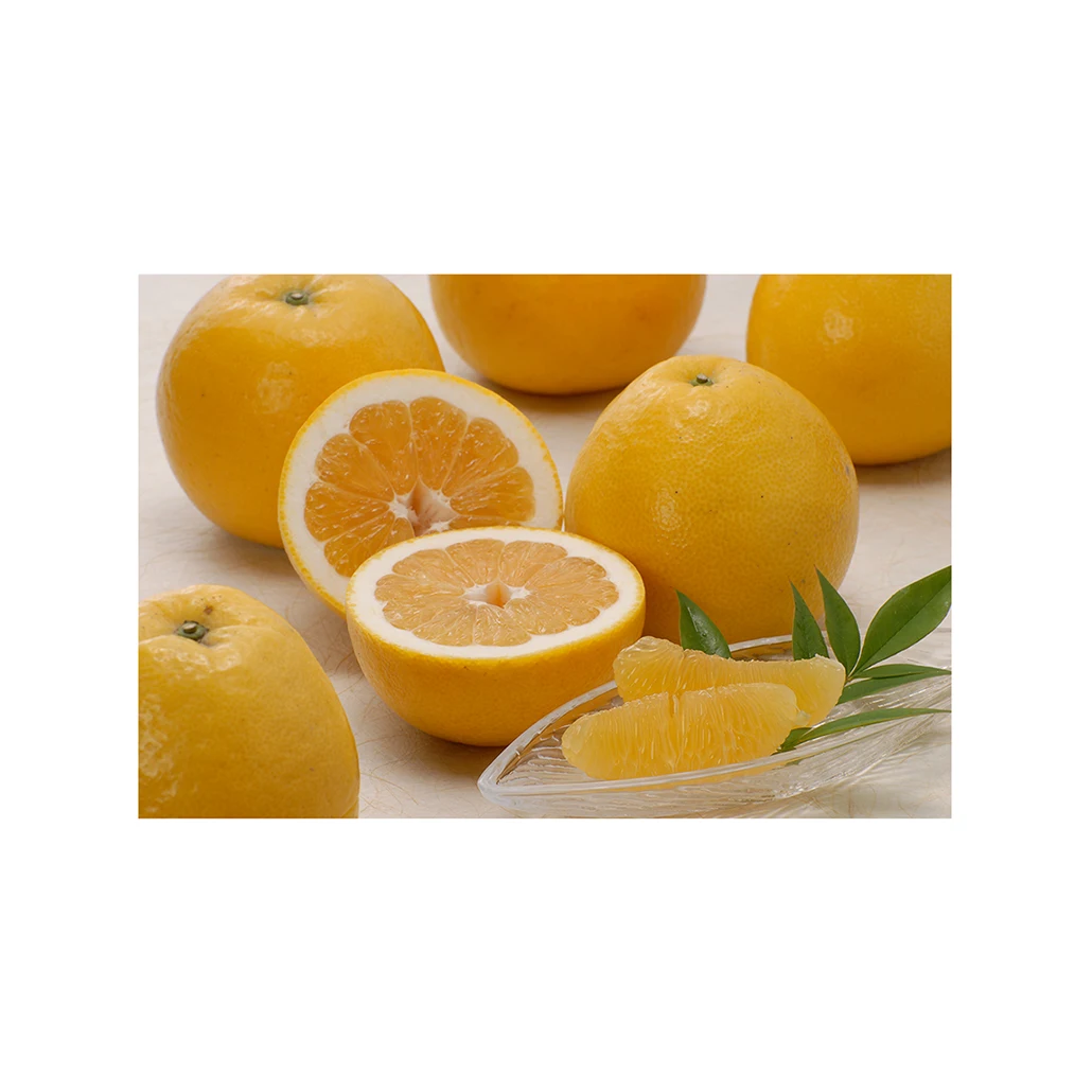 Japanese wholesale bulk fresh Japan food snacks with good quality