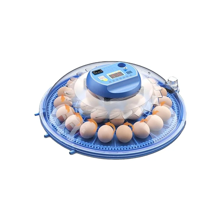52-Egg Dual Power Automatic Incubator High Hatching Rate with Automatic Hatching Machine 220V New Condition for Chicken Farming