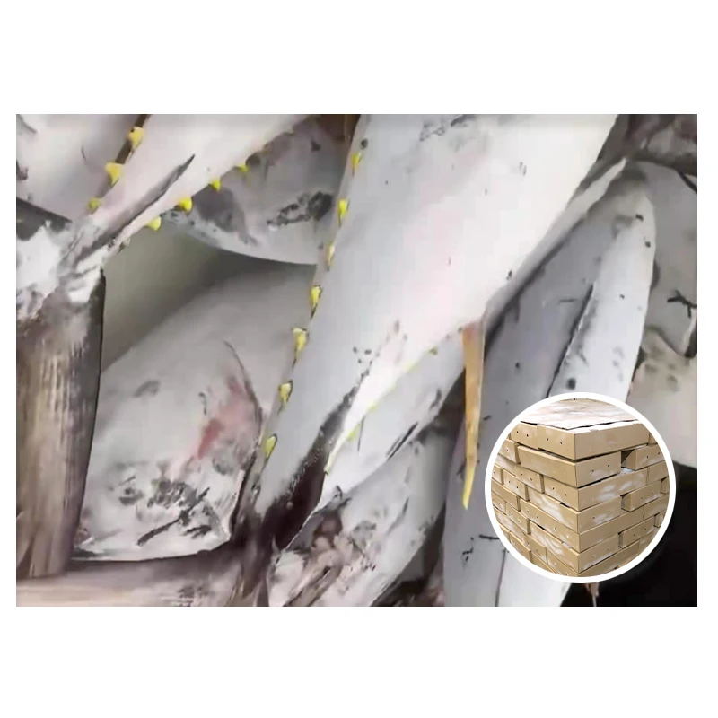 Frozen Yellown Fin Tuna Fish Price 20 KG Up Steak Whole Yellow Fin Tuna