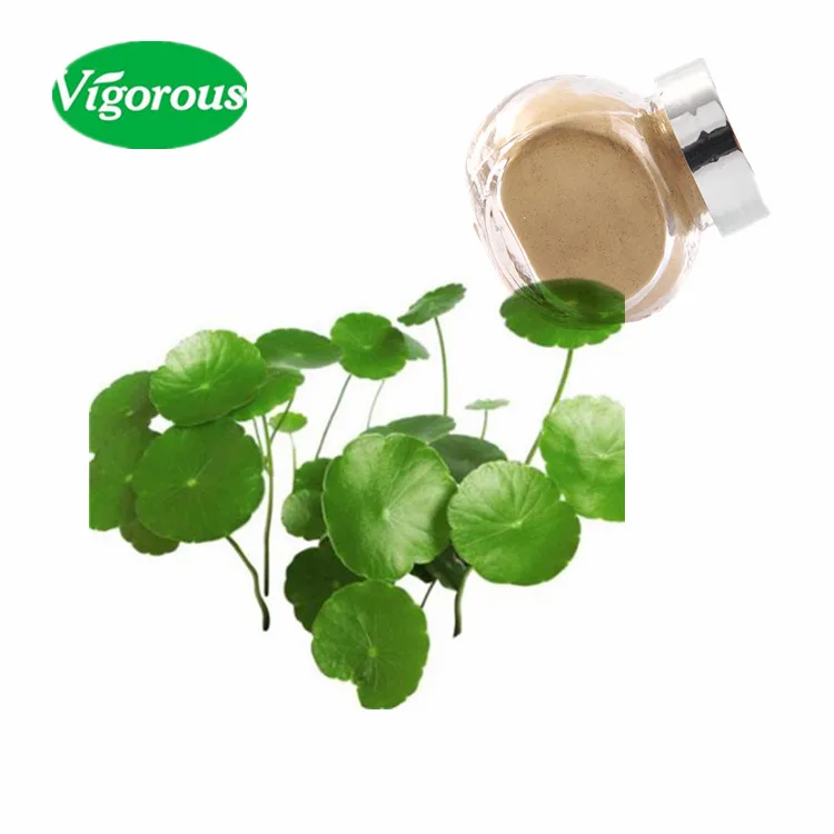 Free samples Asiaticosides gotu kola centella asiatica extract
