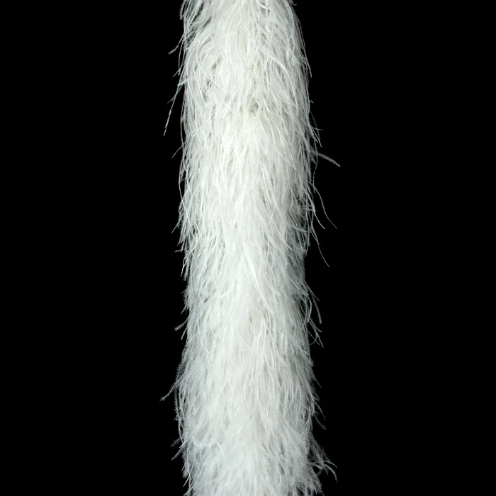 Low price 5PLY Ostrich Feather Strip Dyed Ostrich Feather fluffy soft Feather ostrich Decorative