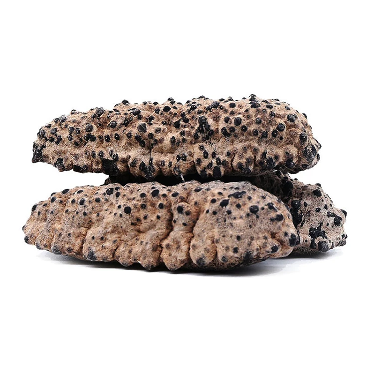 High Quality Wholesale South American Tubular Sea Cucumber Price