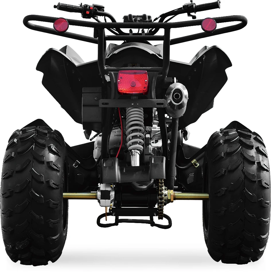 200CC gasoline balance engine ATV 4*2 chain drive automatic MDL 200ASG-2