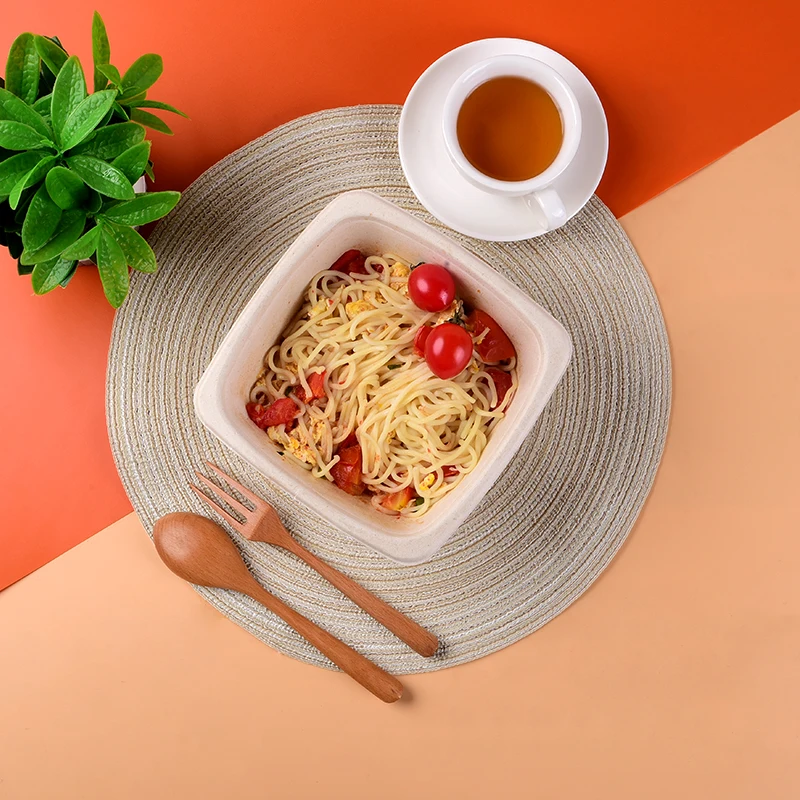 Wholesale Sugarcane Bagasse Food Container Disposable Compostable Rectangle Bowl With Lid