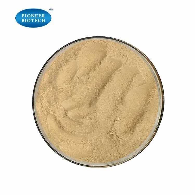 Pumpkin seed protein powder