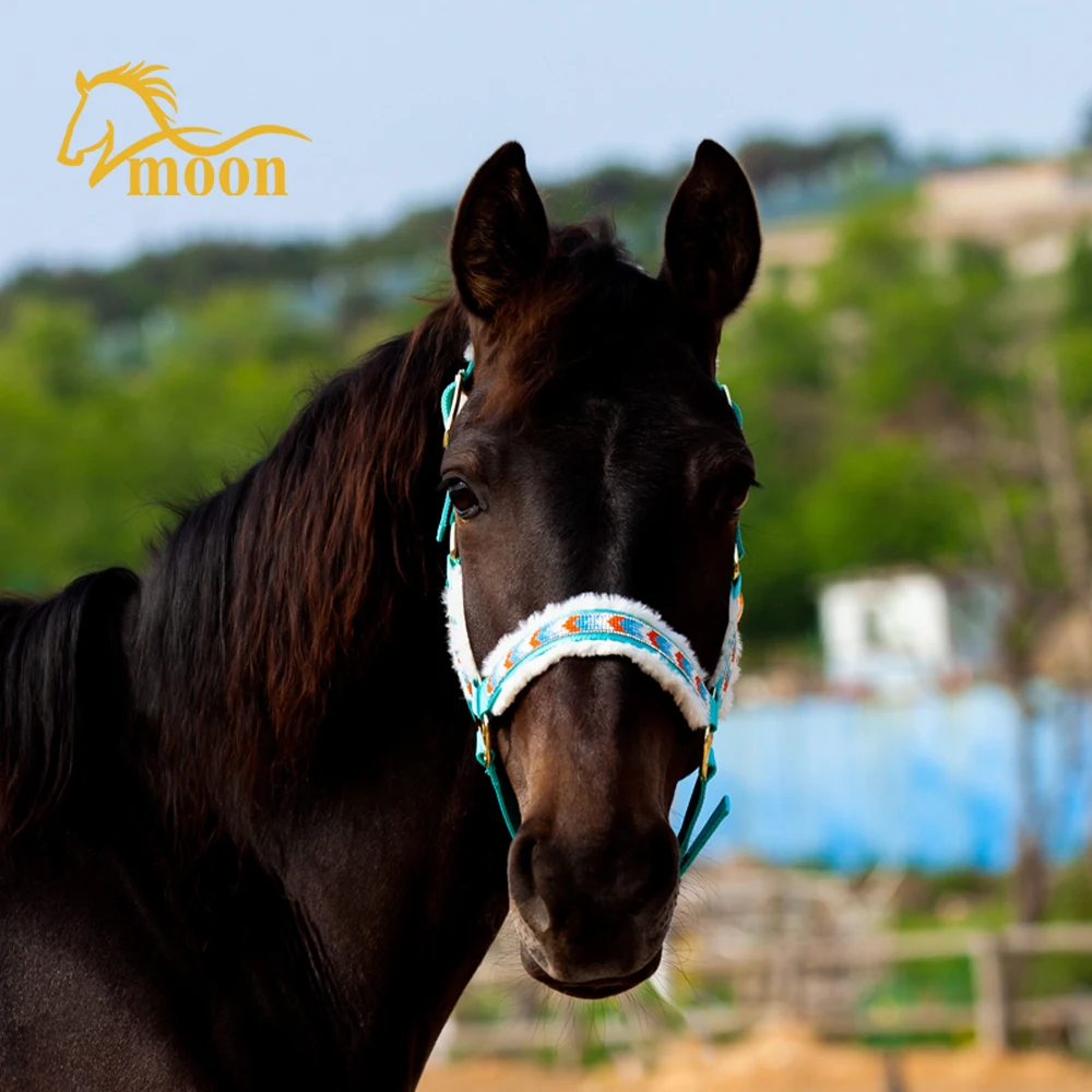 Wholesale Equestrian Products Hors Halters Set Customized LOGO Style Nylon Combo Accept Material Origin Place Model Offered