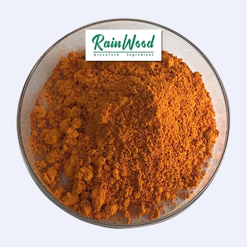 Turmeric Extract Curcuma Longa Powder Curcumin 95%