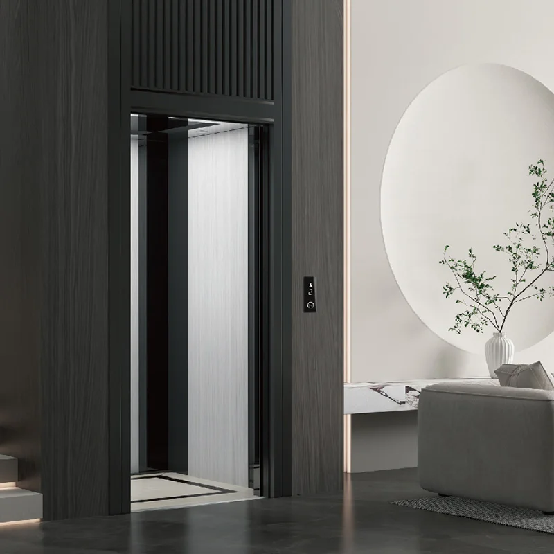 HOMEKA Villa lift Traction house принудительный привод villa excealing наложенный составной лифт с шахтным лифтом