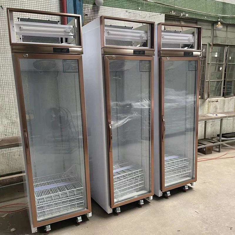 Used commercial vertical freezer air cooled one glass door upright italian ice cream display freezer