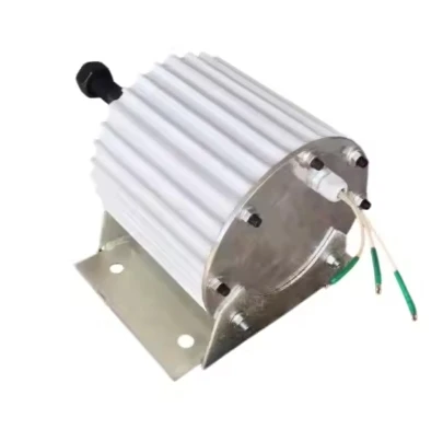 Hot sale ! Low RPM low Torque wind generator 1kw